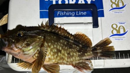 渋い時はライトワインド