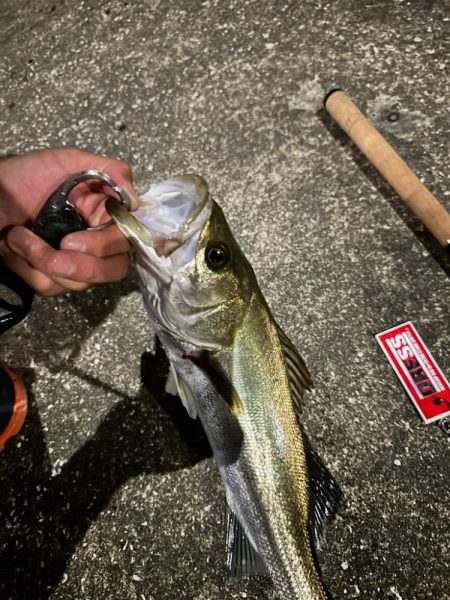 大好きなBlueBlueのルアーで縛ってみ…