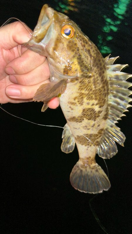 サイズアップライトワインド