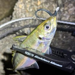 酷暑の中のフロートゲーム