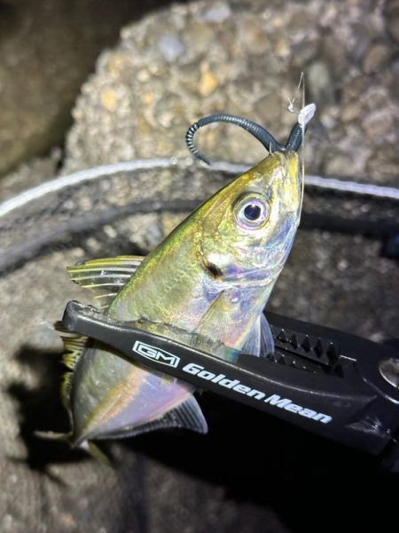 酷暑の中のフロートゲーム