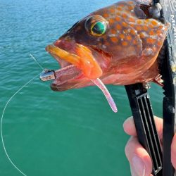 ボートアジング