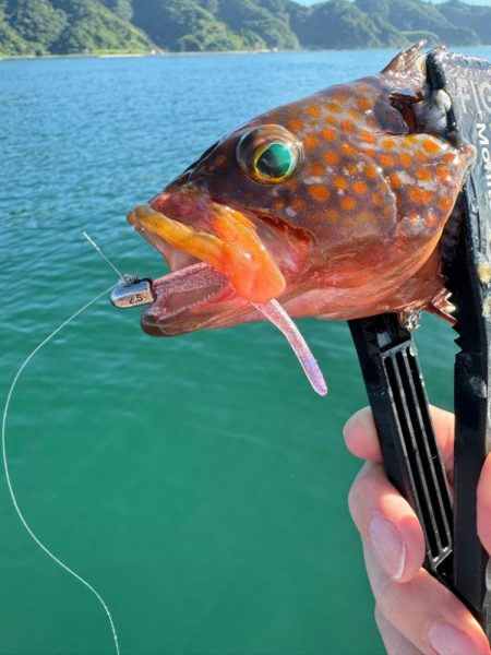 ボートアジング