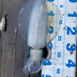 3度目の三重遠征ヤエン釣りにてキロover!