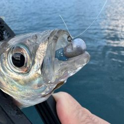 仕事終わりのボートアジング