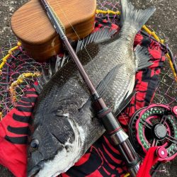 ヘチってきました