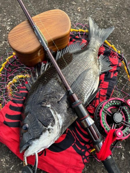 ヘチってきました