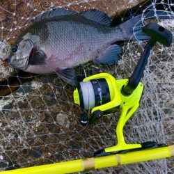 エサ釣りは癒しにゃ!