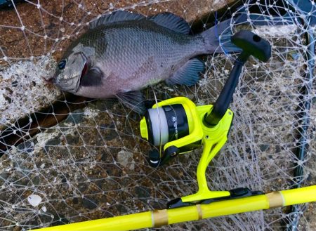 エサ釣りは癒しにゃ!