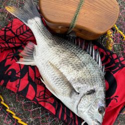 ヘチってきました