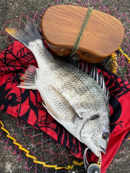 ヘチってきました