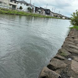 琵琶湖厳しい