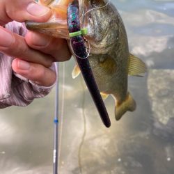 ロングワームで