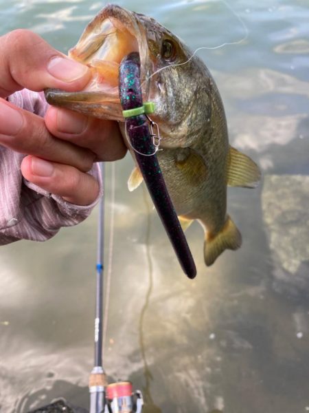 ロングワームで