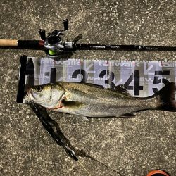 ジョルティminiが無双した!