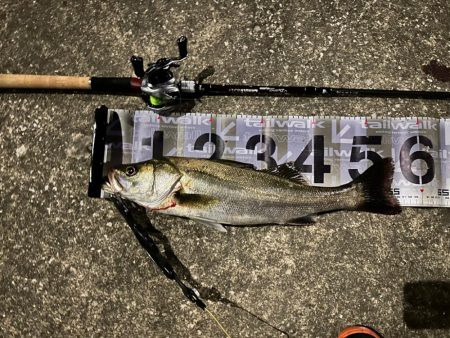 ジョルティminiが無双した！