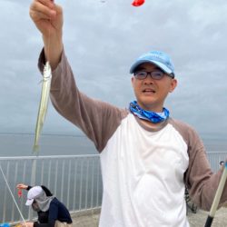 サヨリいてましたよー。