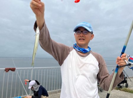 サヨリいてましたよー。