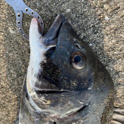 下潮釣行 時合いは一瞬でさした