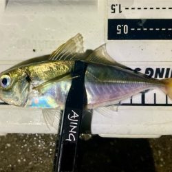 今夜も雨、でも行く！笑