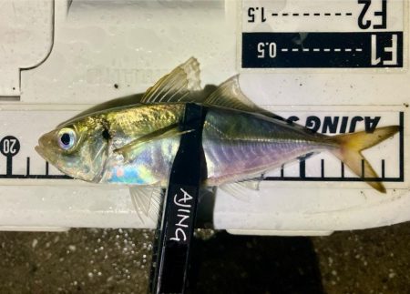 今夜も雨、でも行く！笑