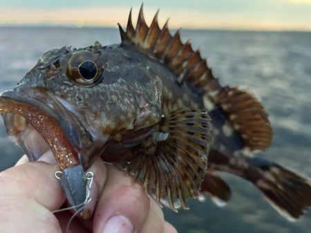 夏でも立派な奴がいた