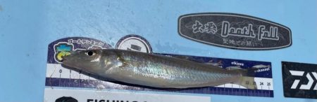 のんびりキス狙い