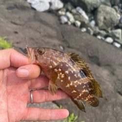 小浜ライトロック