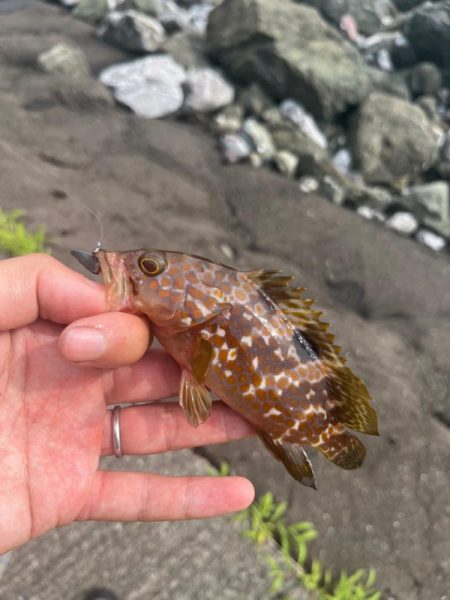 小浜ライトロック