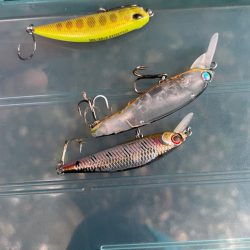 裾花川水系支流