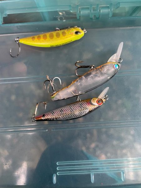 裾花川水系支流