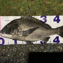 ナイトチニング