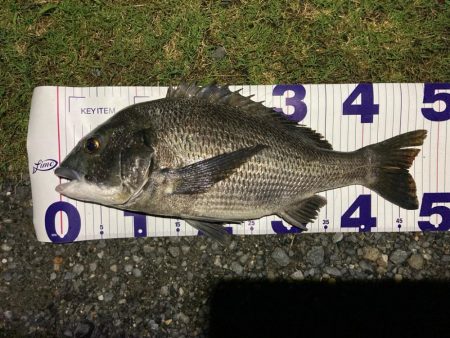 ナイトチニング