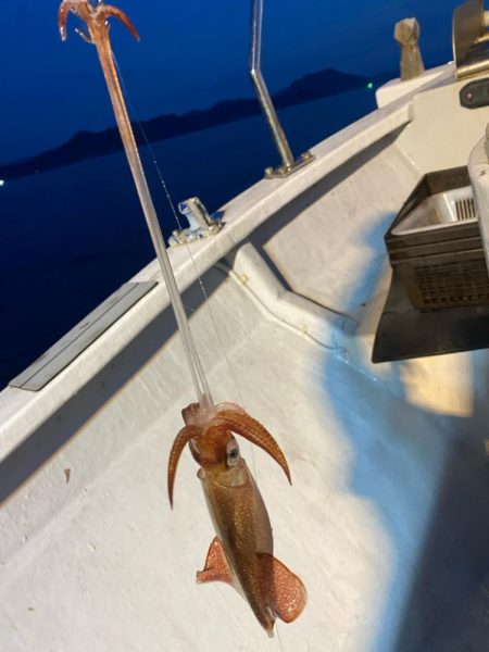 鳥取イカメタルリベンジ