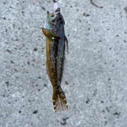 小物デイゲーム