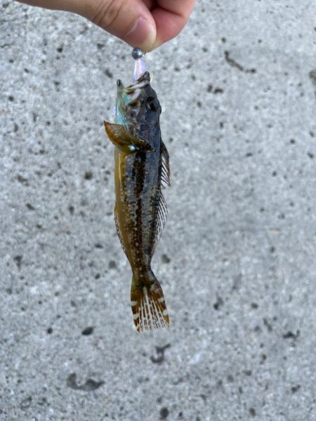 小物デイゲーム