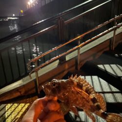 パターンつかめず　ガッシーくん