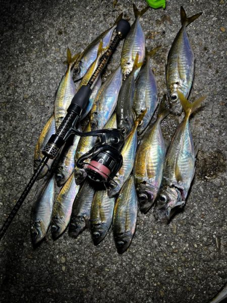 数釣りアジング