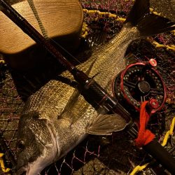 ヘチってきました