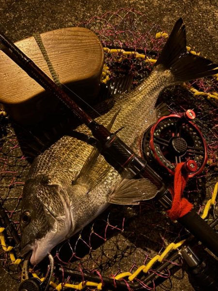 ヘチってきました