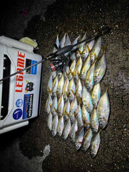 数釣りアジング