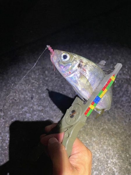 サーフでフロート〜