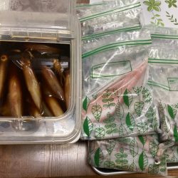 南伊勢のイカメタルゲーム