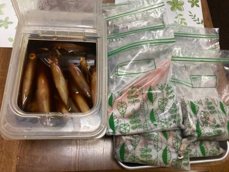 南伊勢のイカメタルゲーム