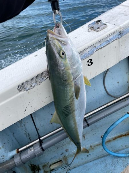 明石ジギング釣行