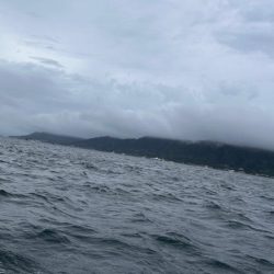 淡路島沖でタコ釣り!