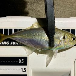 表層は豆軍団、ボトムはまあまあ👍