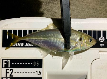 表層は豆軍団、ボトムはまあまあ👍