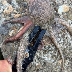 オクトパッシング13