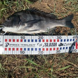 スウィングウォブラー四連発